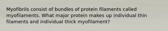 Myofibrils consist of bundles of protein filaments called myofilaments. What major protein makes up individual thin filaments and individual thick myofilament?