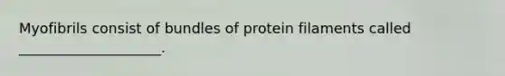 Myofibrils consist of bundles of protein filaments called ____________________.