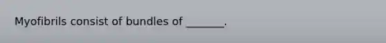 Myofibrils consist of bundles of _______.