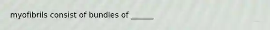 myofibrils consist of bundles of ______