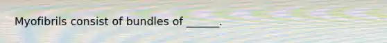 Myofibrils consist of bundles of ______.