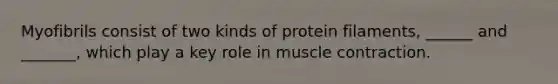 Myofibrils consist of two kinds of protein filaments, ______ and _______, which play a key role in muscle contraction.