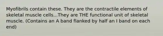 Myofibrils contain these. They are the contractile elements of skeletal muscle cells...They are THE functional unit of skeletal muscle. (Contains an A band flanked by half an I band on each end)