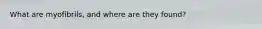 What are myofibrils, and where are they found?