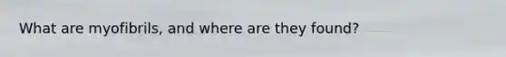 What are myofibrils, and where are they found?