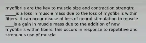 myofibrils are the key to muscle size and contraction strength: _____is a loss in muscle mass due to the loss of myofibrils within fibers. it can occur disuse of loss of neural stimulation to muscle ____is a gain in muscle mass due to the addition of new myofibrils within fibers. this occurs in response to repetitive and strenuous use of muscle