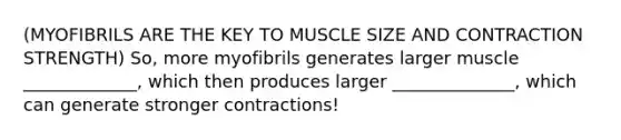 (MYOFIBRILS ARE THE KEY TO MUSCLE SIZE AND CONTRACTION STRENGTH) So, more myofibrils generates larger muscle _____________, which then produces larger ______________, which can generate stronger contractions!