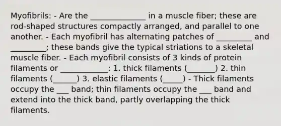 Myofibrils: - Are the ______________ in a muscle fiber; these are rod-shaped structures compactly arranged, and parallel to one another. - Each myofibril has alternating patches of _________ and _________; these bands give the typical striations to a skeletal muscle fiber. - Each myofibril consists of 3 kinds of protein filaments or ____________: 1. thick filaments (_______) 2. thin filaments (______) 3. elastic filaments (_____) - Thick filaments occupy the ___ band; thin filaments occupy the ___ band and extend into the thick band, partly overlapping the thick filaments.