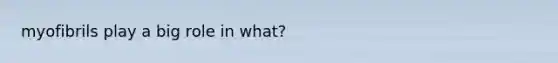 myofibrils play a big role in what?