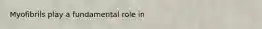 Myofibrils play a fundamental role in