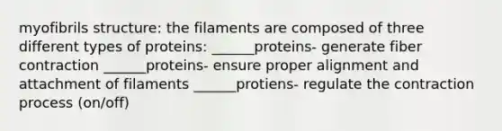 myofibrils structure: the filaments are composed of three different types of proteins: ______proteins- generate fiber contraction ______proteins- ensure proper alignment and attachment of filaments ______protiens- regulate the contraction process (on/off)