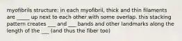 myofibrils structure: in each myofibril, thick and thin filaments are _____ up next to each other with some overlap. this stacking pattern creates ___ and ___ bands and other landmarks along the length of the ___ (and thus the fiber too)