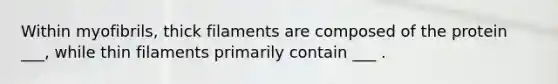 Within myofibrils, thick filaments are composed of the protein ___, while thin filaments primarily contain ___ .