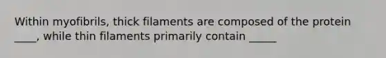 Within myofibrils, thick filaments are composed of the protein ____, while thin filaments primarily contain _____