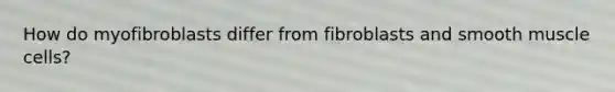 How do myofibroblasts differ from fibroblasts and smooth muscle cells?