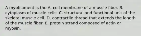 A myofilament is the A. cell membrane of a muscle fiber. B. cytoplasm of muscle cells. C. structural and functional unit of the skeletal muscle cell. D. contractile thread that extends the length of the muscle fiber. E. protein strand composed of actin or myosin.