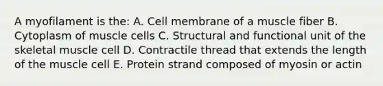 A myofilament is the: A. Cell membrane of a muscle fiber B. Cytoplasm of muscle cells C. Structural and functional unit of the skeletal muscle cell D. Contractile thread that extends the length of the muscle cell E. Protein strand composed of myosin or actin