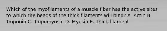 Which of the myofilaments of a muscle fiber has the active sites to which the heads of the thick filaments will bind? A. Actin B. Troponin C. Tropomyosin D. Myosin E. Thick filament