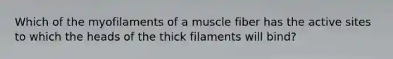 Which of the myofilaments of a muscle fiber has the active sites to which the heads of the thick filaments will bind?