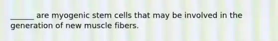 ______ are myogenic stem cells that may be involved in the generation of new muscle fibers.