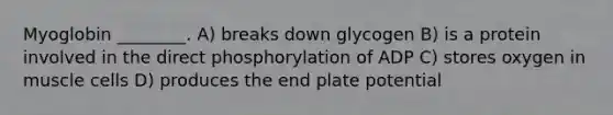 Myoglobin ________. A) breaks down glycogen B) is a protein involved in the direct phosphorylation of ADP C) stores oxygen in muscle cells D) produces the end plate potential