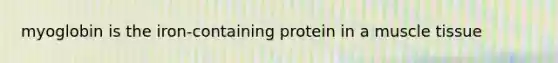 myoglobin is the iron-containing protein in a muscle tissue