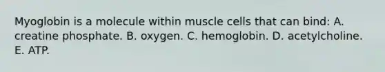 Myoglobin is a molecule within muscle cells that can bind: A. creatine phosphate. B. oxygen. C. hemoglobin. D. acetylcholine. E. ATP.