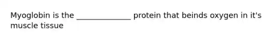 Myoglobin is the ______________ protein that beinds oxygen in it's <a href='https://www.questionai.com/knowledge/kMDq0yZc0j-muscle-tissue' class='anchor-knowledge'>muscle tissue</a>