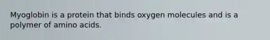 Myoglobin is a protein that binds oxygen molecules and is a polymer of amino acids.