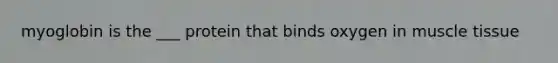 myoglobin is the ___ protein that binds oxygen in muscle tissue