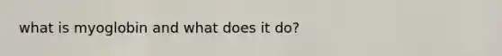 what is myoglobin and what does it do?