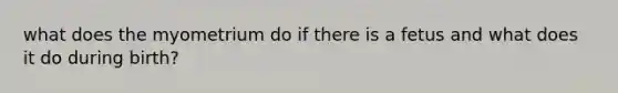 what does the myometrium do if there is a fetus and what does it do during birth?