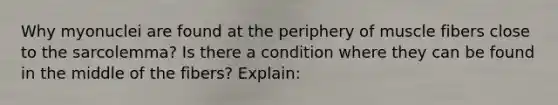 Why myonuclei are found at the periphery of muscle fibers close to the sarcolemma? Is there a condition where they can be found in the middle of the fibers? Explain: