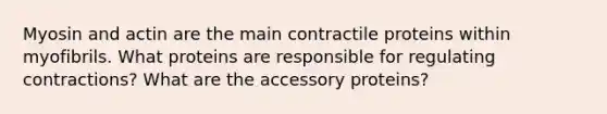 Myosin and actin are the main contractile proteins within myofibrils. What proteins are responsible for regulating contractions? What are the accessory proteins?