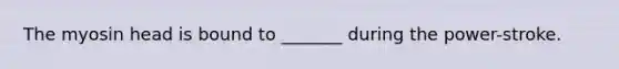 The myosin head is bound to _______ during the power-stroke.