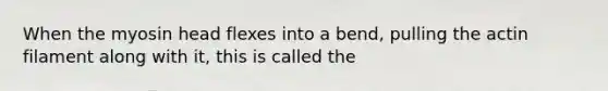 When the myosin head flexes into a bend, pulling the actin filament along with it, this is called the