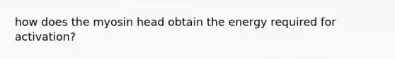 how does the myosin head obtain the energy required for activation?