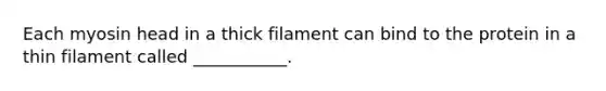 Each myosin head in a thick filament can bind to the protein in a thin filament called ___________.