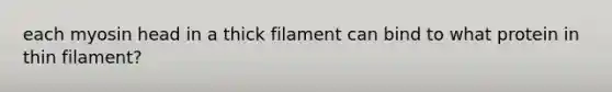 each myosin head in a thick filament can bind to what protein in thin filament?