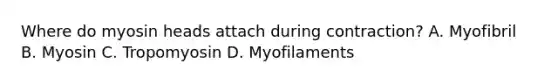 Where do myosin heads attach during contraction? A. Myofibril B. Myosin C. Tropomyosin D. Myofilaments