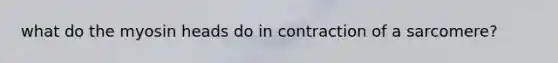 what do the myosin heads do in contraction of a sarcomere?