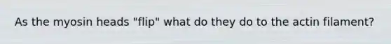 As the myosin heads "flip" what do they do to the actin filament?