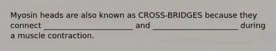 Myosin heads are also known as CROSS-BRIDGES because they connect _______________________ and ______________________ during a muscle contraction.