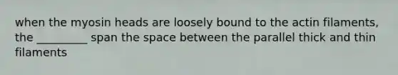 when the myosin heads are loosely bound to the actin filaments, the _________ span the space between the parallel thick and thin filaments