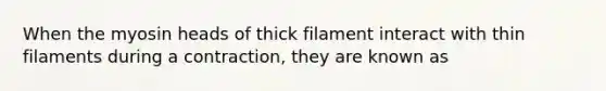 When the myosin heads of thick filament interact with thin filaments during a contraction, they are known as