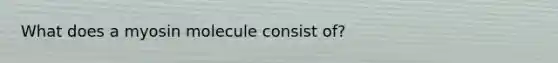 What does a myosin molecule consist of?