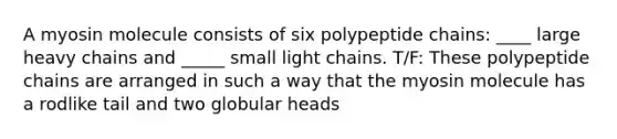 A myosin molecule consists of six polypeptide chains: ____ large heavy chains and _____ small light chains. T/F: These polypeptide chains are arranged in such a way that the myosin molecule has a rodlike tail and two globular heads