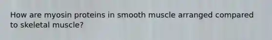 How are myosin proteins in smooth muscle arranged compared to skeletal muscle?
