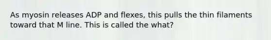 As myosin releases ADP and flexes, this pulls the thin filaments toward that M line. This is called the what?