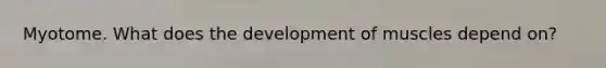 Myotome. What does the development of muscles depend on?